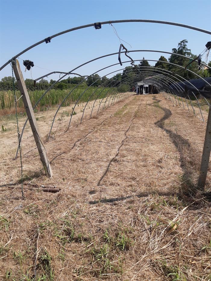 Kit Cerchi Per Serra Da Giardino - 48 Pezzi In Fibra Di Vetro, Con Connettori E Clip, Per Tunnel Coltivazione