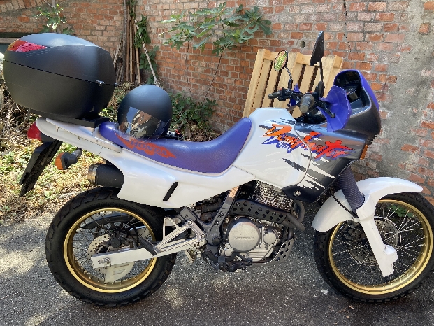 Honda Dominator 650 : auto in vendita a Bologna (Bologna)