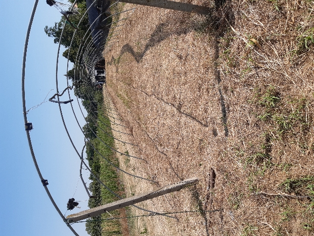 Apri Finestra Automatico Per Serre Greensen - Cilindro Termico, Energia Solare, Controllo Temperatura 15-25°C - Foto 9