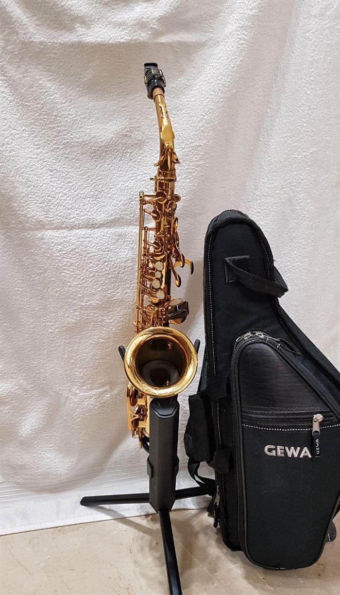 Saxcontraltoaccessoriato85076642 in vendita a Torino